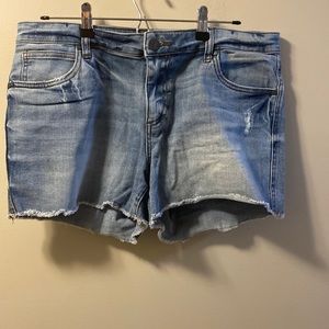 Kut from the Kloth Gidget Short